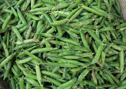 出售的新鲜绿豌豆插画