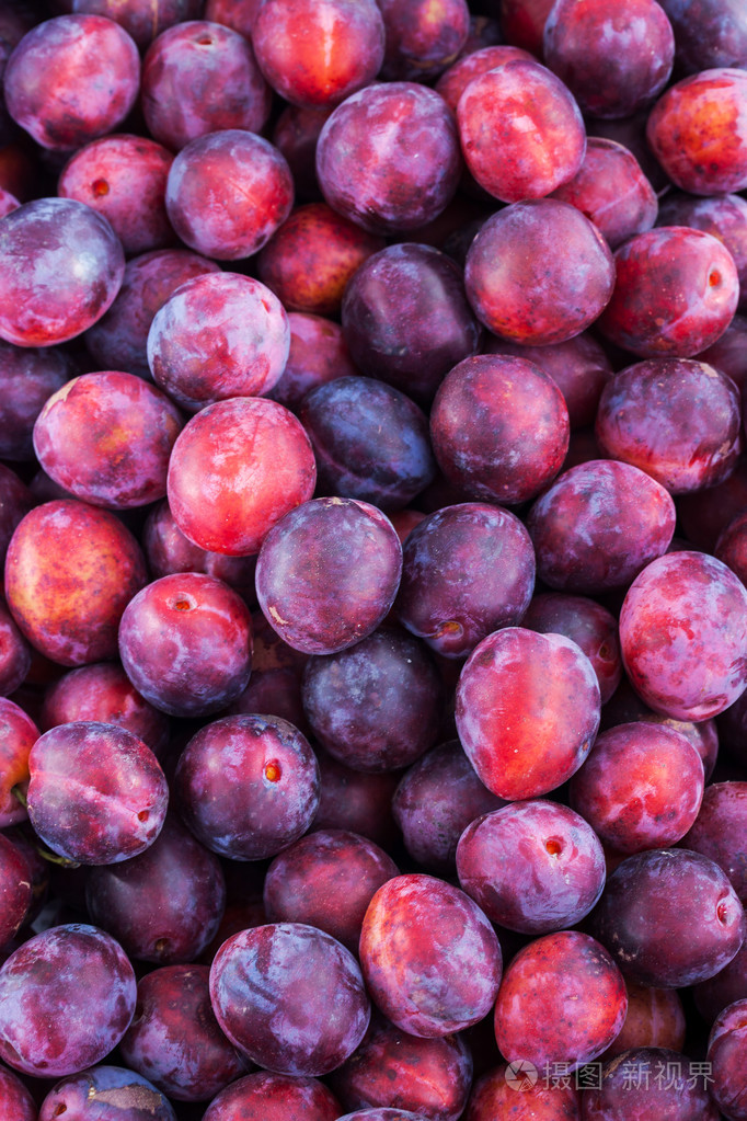新鲜成熟的红李子