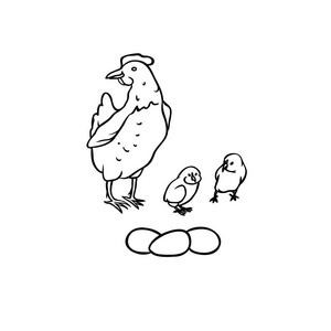 饲养母鸡和小鸡, 三个鸡蛋.设置孤立黑白插图照片