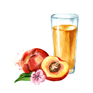 水彩手绘插图, 在白色背景下隔离照片