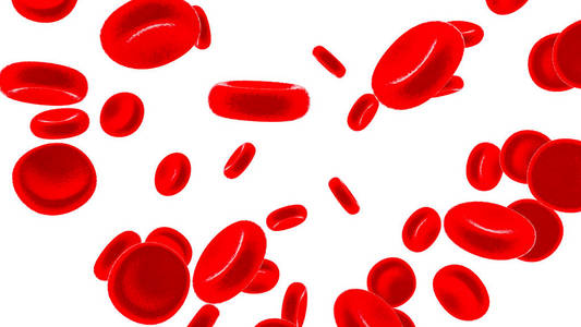 红血细胞 3d 渲染