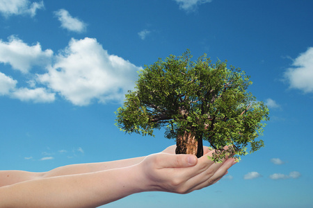 概念或概念人类男人或女人的手与云绿色夏天树和蓝天生态背景照片