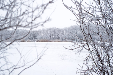 被雪覆盖的落叶树包围的冰冻江景