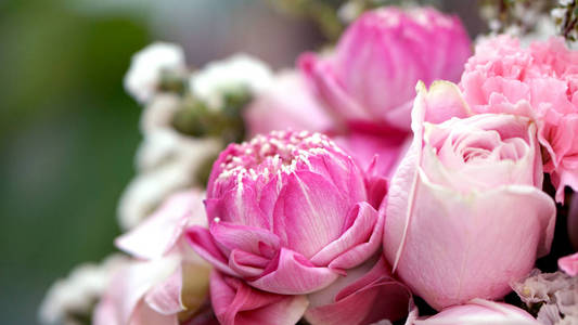 粉红玫瑰，莲花花花束情人节背景