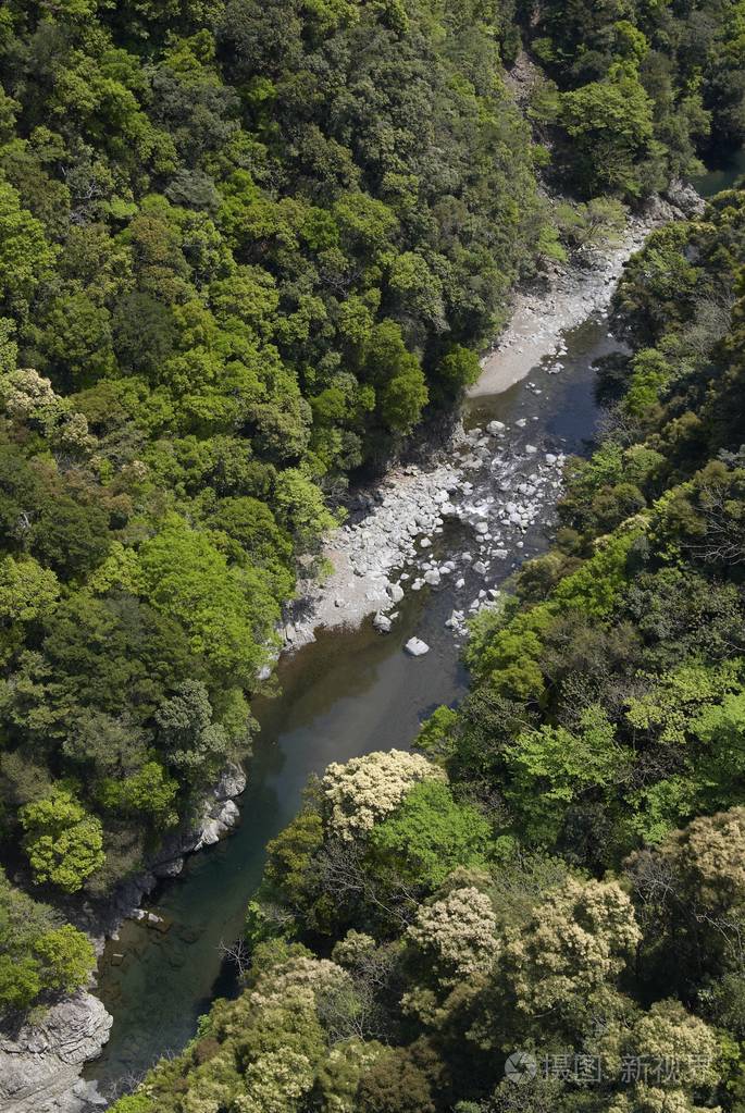 山区森林的河流