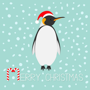 王企鹅在圣诞老人的帽子