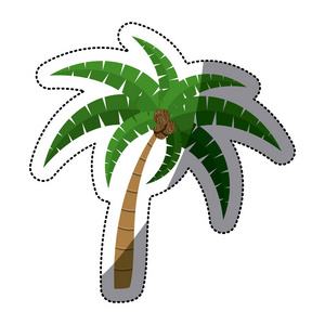 孤立的棕榈树设计
