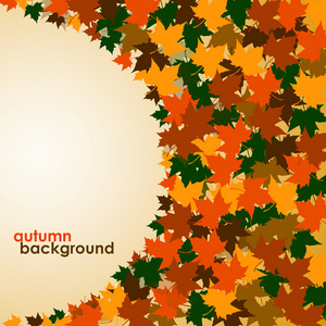 秋季背景的枫树叶。炫彩矢量图像。Eps 10