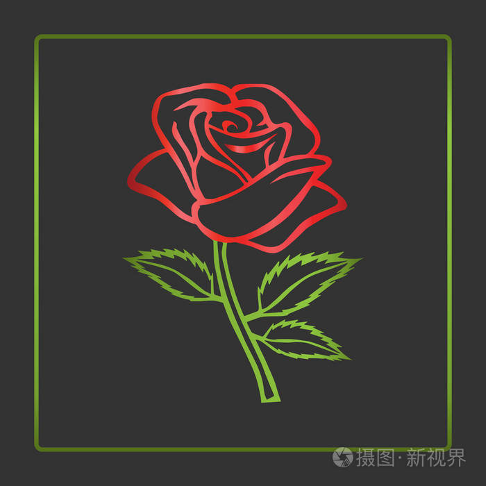 玫瑰的图案.花的设计元素.矢量图.大纲设计优雅的花.