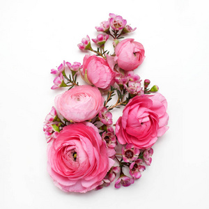 花的组成与粉红色的石龙芮花白色背景。平躺