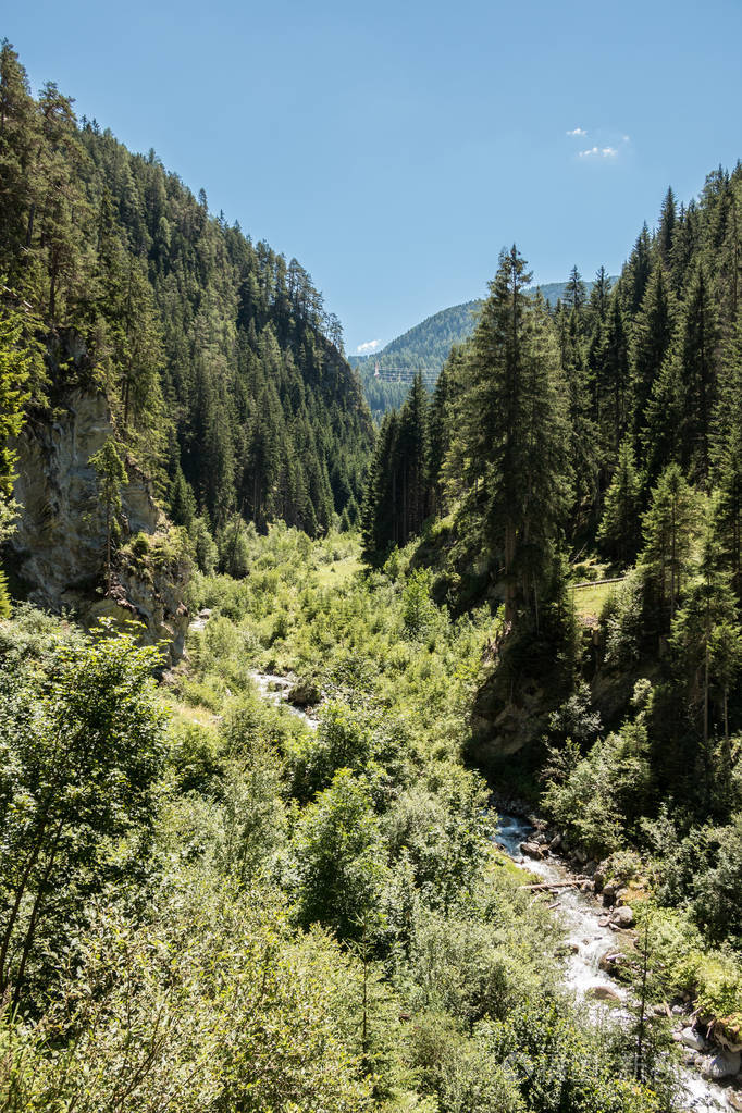 峡谷中的野溪大树和巨石