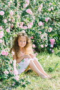 一个可爱的蹒跚学步的女孩户外坐在树丛下的玫瑰花园的肖像