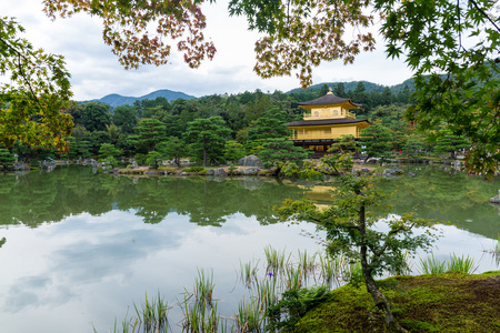 在金阁寺金阁