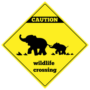 警告动物标志当心大象交通标志.大象警告交通标志.