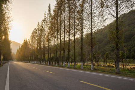 红树林公路日落