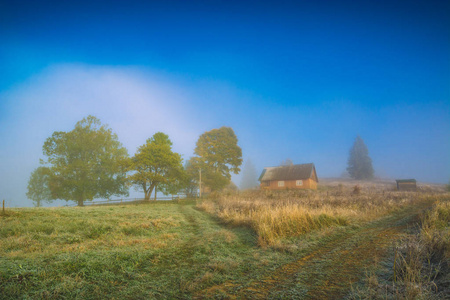 清晨在高山雾的村庄