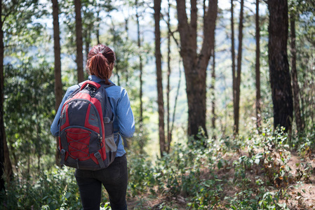 游客带着背包穿过森林去山顶