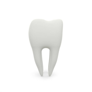 白色隔离背景下磨牙齿的模型