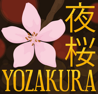 传统的 Yozakura 夜与樱, 灯笼和发光, 向量例证