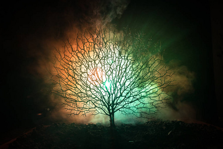 恐怖恐怖树与僵尸和恶魔面孔照片