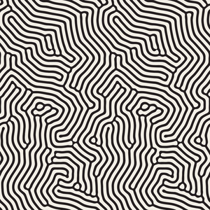 有机的不规则圆形的线条.矢量无缝黑色和白色花纹照片