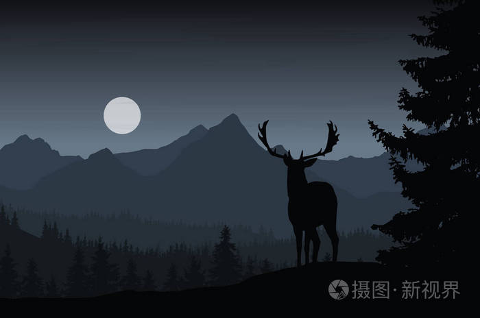 夜的鹿在黑暗的天空下森林和山的风景