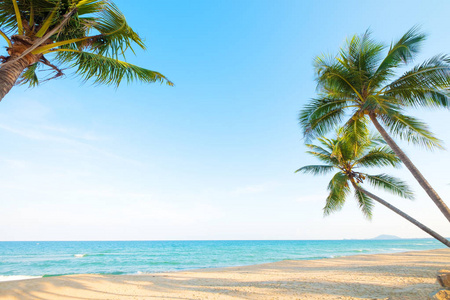 夏季在热带海滩 海景 的椰子棕榈树美丽的风景。暑期背景概念