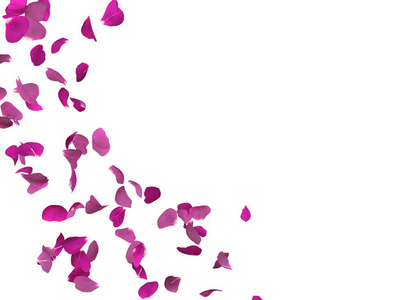 紫色的玫瑰花瓣在飞翔.您的照片或文本的中心可用空间照片