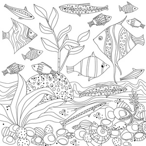 装饰鱼和海藻的矢量插画设计你的着色书照片