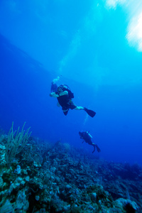 创辉礁和潜水员 拉戈岛 古巴组