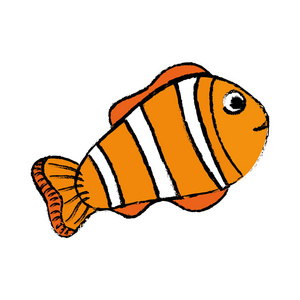 小丑鱼卡通照片