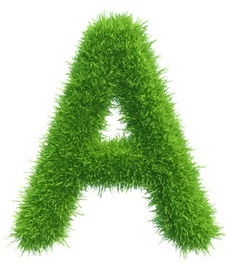 大写字母a图片