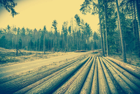 堆在森林中的农村道路 国家景观 老式照片在木头