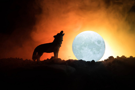 在月亮嚎叫的狼图片