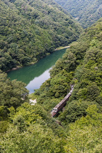 利达线与夏绿山