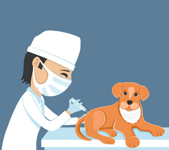 兽医使注射照片