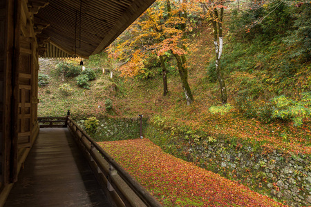 日本木造的神庙，在秋天的季节