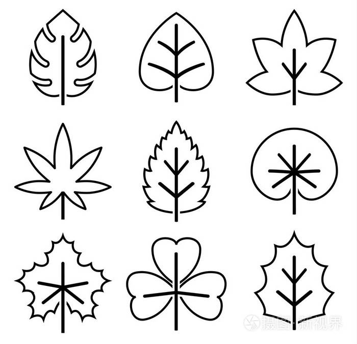 叶形图标轮廓插画-正版商用图片0g86nf-摄图新视界