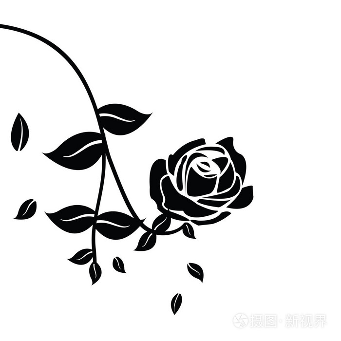 玫瑰的叶子的黑色剪影