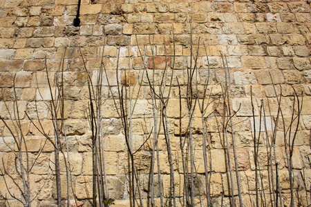以色列耶路撒冷古城外墙特写