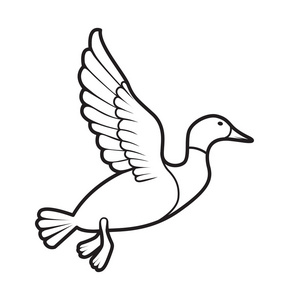 野鸭图片-野鸭素材-野鸭插画-摄图新视界