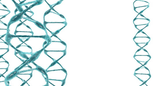 有机的 Dna 分子白色背景