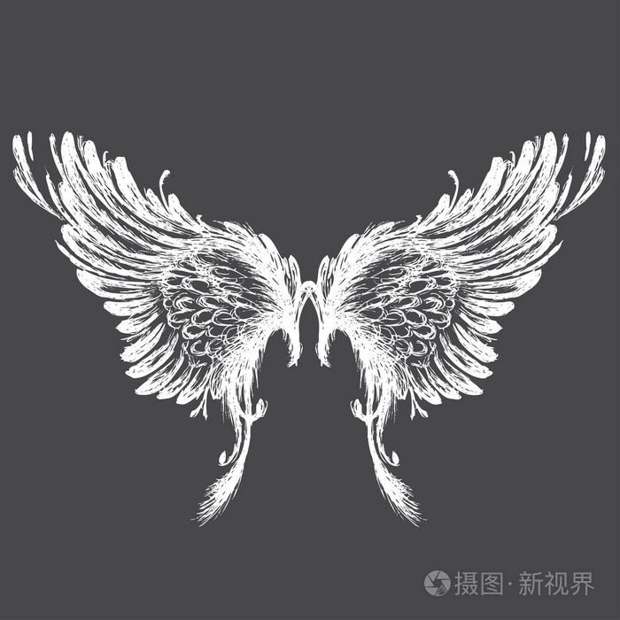 翅膀矢量图