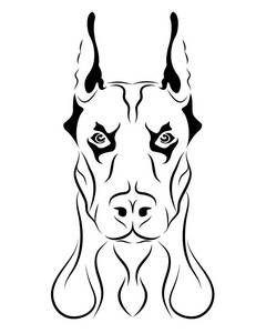 非洲犬图片-非洲犬素材-非洲犬插画-摄图新视界