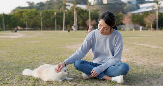 在户外公园和她的狗玩耍的女人