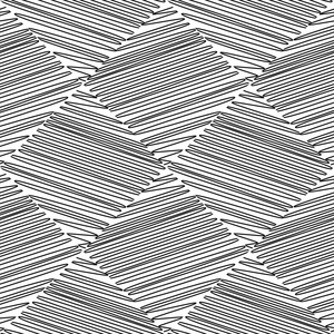 抽象二次黑色和白色无缝图案的白色背景上的弯曲线。矢量 eps 10