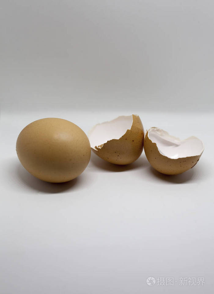 白色背景下的卵壳