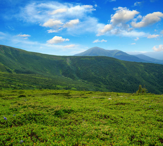 在夏天山风景