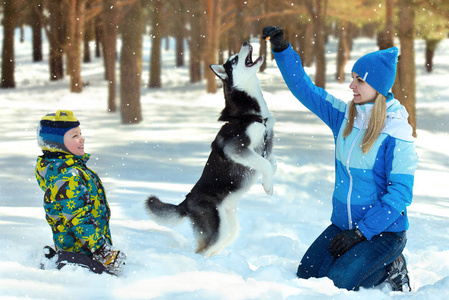 冬天的时候, 年轻的女人和儿子在冬季下雪的森林里和狗一起散步。友谊宠物和人