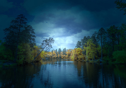 梦幻迷雾中的小径风景神秘的幻想迷雾野生森林神秘的幻想迷雾野生森林